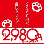ヒメ日記 2026/04/16 18:56 投稿 えのん 2980円（にゃんきゅっぱ）