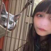 ヒメ日記 2026/03/03 19:20 投稿 らむ 2980円（にゃんきゅっぱ）