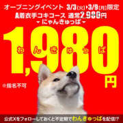 ヒメ日記 2026/03/03 14:46 投稿 きさき 2980円（にゃんきゅっぱ）