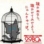 ヒメ日記 2026/05/04 19:21 投稿 きさき 2980円（にゃんきゅっぱ）