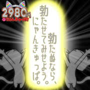 ヒメ日記 2026/05/10 21:06 投稿 せいあ 2980円（にゃんきゅっぱ）