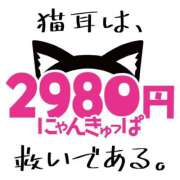 ヒメ日記 2026/05/14 16:36 投稿 せいあ 2980円（にゃんきゅっぱ）