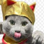 ヒメ日記 2026/03/26 13:41 投稿 みろ 2980円（にゃんきゅっぱ）