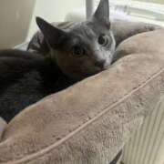 ヒメ日記 2026/03/05 17:56 投稿 きずな 2980円（にゃんきゅっぱ）