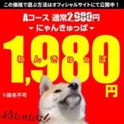 ヒメ日記 2026/04/17 17:37 投稿 れな 2980円（にゃんきゅっぱ）