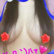 ヒメ日記 2026/03/17 12:14 投稿 はな 一宮稲沢小牧ちゃんこ