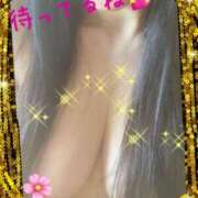 ヒメ日記 2026/03/20 13:56 投稿 はな 一宮稲沢小牧ちゃんこ