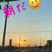 ヒメ日記 2026/03/21 08:29 投稿 はな 一宮稲沢小牧ちゃんこ