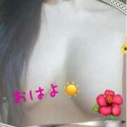 ヒメ日記 2026/03/22 09:34 投稿 はな 一宮稲沢小牧ちゃんこ