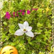 ヒメ日記 2026/03/25 08:40 投稿 はな 一宮稲沢小牧ちゃんこ