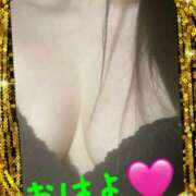 ヒメ日記 2026/03/26 12:24 投稿 はな 一宮稲沢小牧ちゃんこ