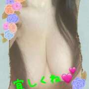 ヒメ日記 2026/03/27 17:54 投稿 はな 一宮稲沢小牧ちゃんこ