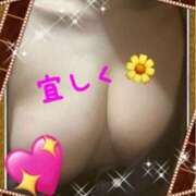 ヒメ日記 2026/04/04 14:04 投稿 はな 一宮稲沢小牧ちゃんこ