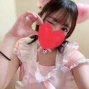 ヒメ日記 2026/03/04 11:16 投稿 らん 2980円（にゃんきゅっぱ）