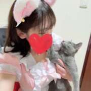 ヒメ日記 2026/03/04 16:46 投稿 らん 2980円（にゃんきゅっぱ）