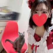 ヒメ日記 2026/03/05 16:26 投稿 らん 2980円（にゃんきゅっぱ）