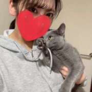 ヒメ日記 2026/03/12 19:16 投稿 らん 2980円（にゃんきゅっぱ）