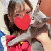 ヒメ日記 2026/04/02 12:16 投稿 らん 2980円（にゃんきゅっぱ）