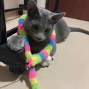 ヒメ日記 2026/04/02 22:16 投稿 らん 2980円（にゃんきゅっぱ）