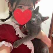 ヒメ日記 2026/04/04 13:46 投稿 らん 2980円（にゃんきゅっぱ）