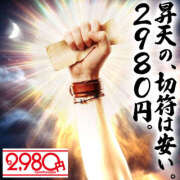 ヒメ日記 2026/04/15 20:56 投稿 らん 2980円（にゃんきゅっぱ）