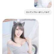 ヒメ日記 2026/05/27 16:46 投稿 らん 2980円（にゃんきゅっぱ）