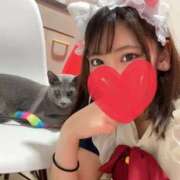 らん 松山ただいまの準備中〜🍊🐱 2980円（にゃんきゅっぱ）