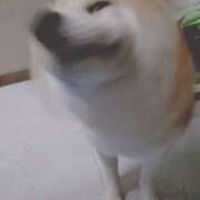 ヒメ日記 2026/03/03 12:36 投稿 みくも 2980円（にゃんきゅっぱ）