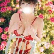 ヒメ日記 2026/04/24 10:33 投稿 早紀 ライオンズクラブ