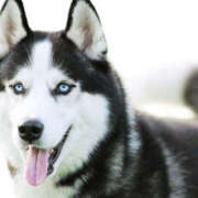 ヒメ日記 2026/03/09 22:09 投稿 コウ ミセスClub