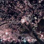 ヒメ日記 2026/03/17 23:11 投稿 コウ ミセスClub