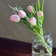 ヒメ日記 2026/03/20 19:16 投稿 しょう 東京人妻セレブリティ（ユメオト）