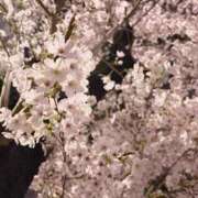 ヒメ日記 2026/04/04 21:01 投稿 さあや 吉祥寺大人めシンデレラ（シンデレラグループ）