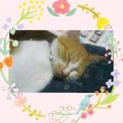 ヒメ日記 2026/04/04 12:46 投稿 工藤　なつき 鹿鳴館