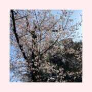 ヒメ日記 2026/04/04 13:16 投稿 工藤　なつき 鹿鳴館