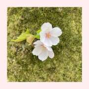 ヒメ日記 2026/04/05 20:26 投稿 工藤　なつき 鹿鳴館