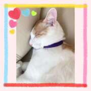 ヒメ日記 2026/04/11 12:01 投稿 工藤　なつき 鹿鳴館