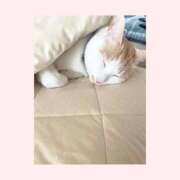 工藤　なつき 🌸お気をつけてお越しくださいませ 鹿鳴館