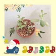 工藤　なつき 😺ありがとうございました 鹿鳴館