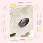 ヒメ日記 2026/07/11 11:36 投稿 工藤　なつき 鹿鳴館