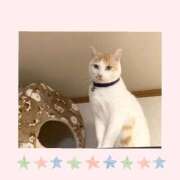 工藤　なつき 🌸お気をつけてお越しくださいませ 鹿鳴館