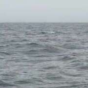 ヒメ日記 2026/04/24 13:16 投稿 なつみ 鹿鳴館