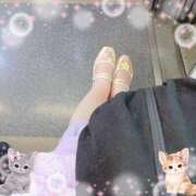 大沢あかり 今日はごめんなさいm(_ _)m 熟女パラダイス鶯谷店(カサブランカグループ)