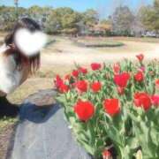 ヒメ日記 2026/04/09 07:06 投稿 ねる THE ESUTE HOUSE 柴田