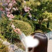 ヒメ日記 2026/04/14 16:13 投稿 ねる THE ESUTE HOUSE 柴田