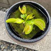 ヒメ日記 2026/05/11 08:34 投稿 ねる THE ESUTE HOUSE 柴田