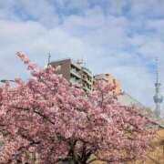 こゆき 【お礼写メ日記】 道玄坂クリスタル