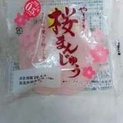 ヒメ日記 2026/04/02 12:02 投稿 江西のえる 松戸人妻花壇