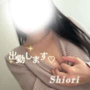 ヒメ日記 2026/04/14 09:55 投稿 体験 しおり 脱がされたい人妻 宇都宮店