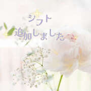 ヒメ日記 2026/04/23 12:00 投稿 体験 しおり 脱がされたい人妻 宇都宮店